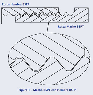 Figura 1 MachoBSPT con Hembra BSPP